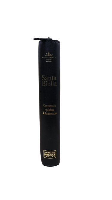 Biblia Reina Valera 1960 Cierre Fuente De Bendicion Negro 12 x 17 cm Letra 10 Puntos